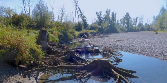 Beratung, Studien und Konzepte