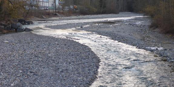 Monitoring und Erfolgskontrolle