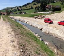 Revitalisierten Abschnitt der Chise im Groggenmoos.