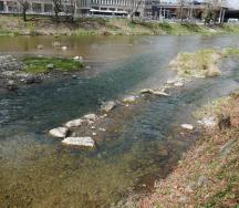 Mündung des Schanzengrabens in die Sihl (hinten). Fliessrichtung von links nach rechts.