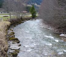 La berge actuellement renforcée par des protections artificielles sera réaménagée dans un état plus naturel.