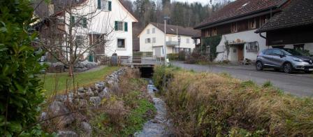Zellerbach in Rikon