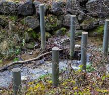 Holzrückhalt am Zellerbach