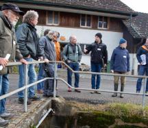 Hochwasserschutz Zellerbach, Zell (ZH)